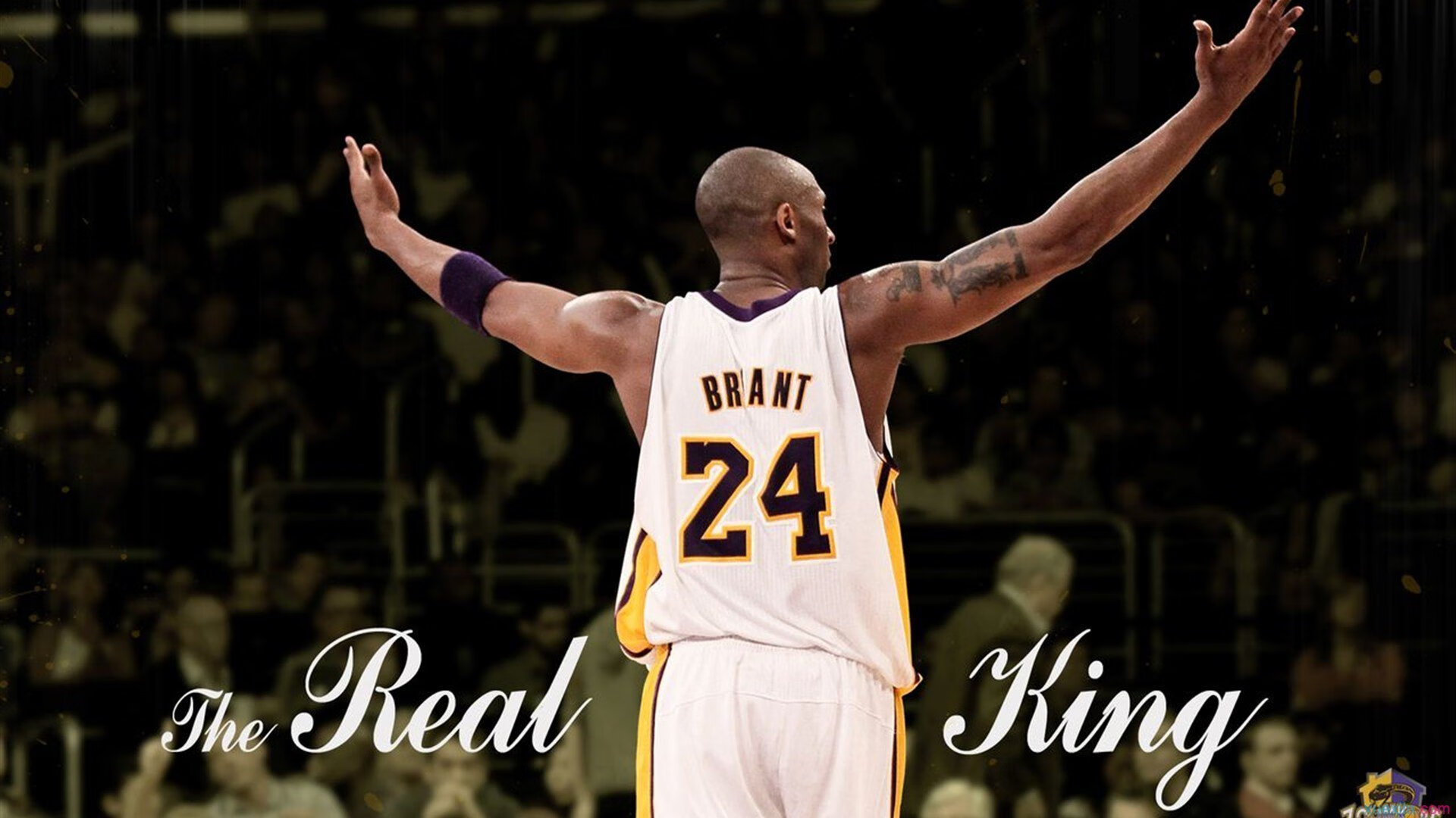 东决关键战焦点战，鹈鹕强行终结黄蜂，挺进总决赛